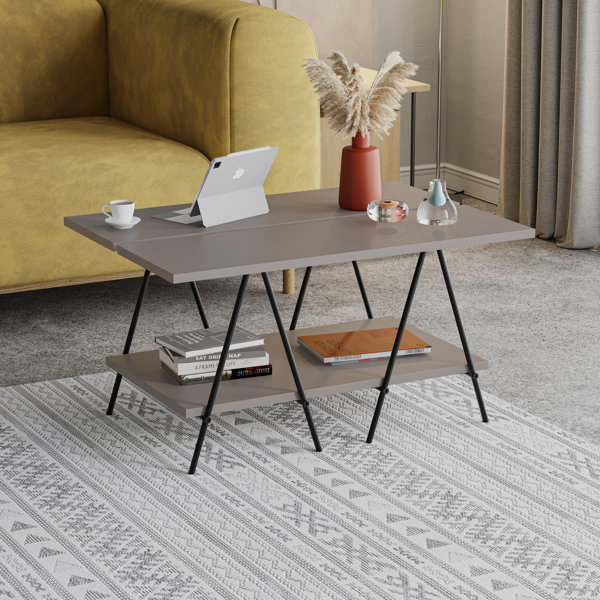 Latitude Run Essel Modern Industrial Coffee Table with Open Storage